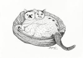 Crunchyroll Reveals Crx X Junji Ito Collection Merchandise Line Anime Herald Junji Ito Cat Art Ito