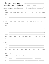 Genetics practice problems worksheet answers pdf. Transcription And Translation Worksheet