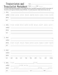Rna synthesis most of the work of making rna takes place during transcription. Transcription And Translation Worksheet