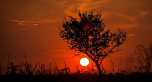 Veranico eleva temperaturas em todo o país nos próximos dias