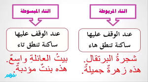 التاء المربوطة والتاء المبسوطة اللغة العربية الرابع الإبتدائى المنهج المصرى نفهم Youtube