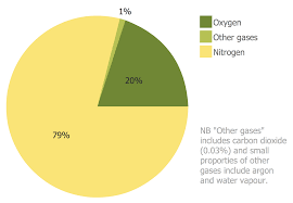 Basic Pie Chart Approximate Composition Of The Air This Example Was Created In Conceptdraw Pro Using The Basic Pie Charts Library Pie Charts Chart Basic