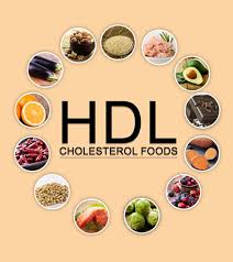 25 hdl cholesterol foods to include in your diet