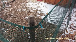 I use it as overhead netting to deter hawks. How Using Deer Netting Can Deter Hawks Murano Chicken Farm