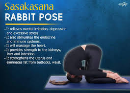 Pin By Cindy Nichols On Yoga Learn Yoga Yoga Asanas Yoga
