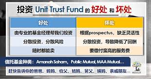 Invest and conduct transaction requests with ease via public mutual online (pmo). æŠ•èµ„unit Trust Fund ä¿¡æ‰˜åŸºé‡'çš„å¥½å¤„å'Œåå¤„ Misterleaf