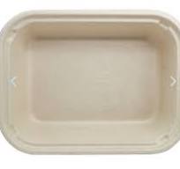 Sugarcane Take Out Containers – Food Loops
