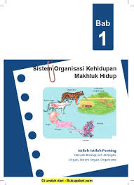 Tingkatan organisasi kehidupan dari yang terendah sampai tertinggi: Bab 1 Sistem Organisasi Kehidupan Makhluk Hidup