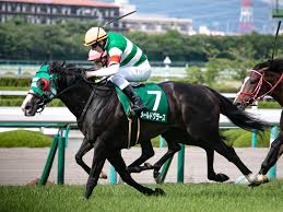 The naruo kinen (in japanese: é³´å°¾è¨˜å¿µ Wikipedia