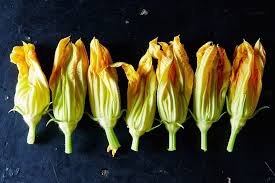 10 Non Stuffed And Fried Ways To Eat Squash Blossoms Stuffed Squash Blossoms Squash Blossom Recipe Fried Squash Blossoms