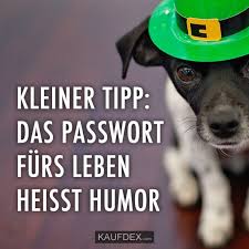 Schatz, wie mochtest du das mittagessen heute? Kleiner Tipp Das Passwort Furs Leben Heisst Humor Kaufdex Lustige Spruche
