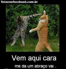 Imagem relacionada