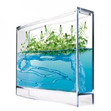 Ce vivarium est rempli d'un gel* confortable qui leur sert à la fois de nourriture et d'habitat pour creuser leurs galeries. Fourmiliere Plantarium Avec Gel Nutritif Et Base Eclairante
