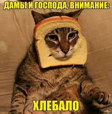 Check spelling or type a new query. Spasibo Za Vnimanie