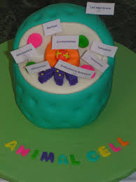 Maybe you would like to learn more about one of these? Animal Cell Cakecentral Com