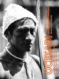 h iD reléTricA s, con FliTos socio A MB ien TA is e resisTênciA n A B A ciA  D o TA pA jós