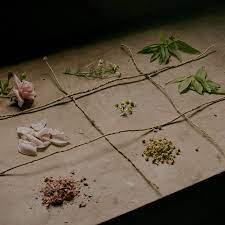 Check spelling or type a new query. How To Create Your Own Herbal Tea Garden The New York Times