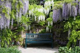 Alle aktuellen prospekte von geschäften in weinheim ➤ so findest du immer das beste garten angebot in deiner nähe. Grune Ausflugsziele In Michelstadt Und Weinheim