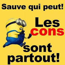 Les Minions Blagues Mignonnes Couple Moche Et Blague Minion