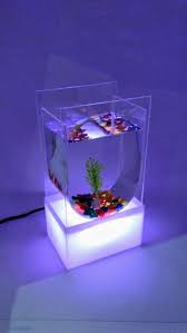 Aquarium unik ini mempunyai model yang mini sehingga bisa dipindahkan sesuai yang anda kehendaki. Jual Aquarium Mini Unik Akrilik Soliter Online April 2021 Blibli