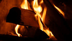 Maybe you would like to learn more about one of these? Are Wood Burners Bad For The Environment Forest Master