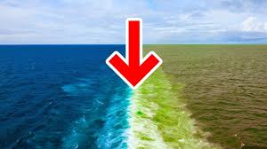 Difference between sea and river seas and rivers are highly valuable as they substantially influence the survival of flora and fauna. Why The Atlantic And Pacific Oceans Don T Mix Youtube