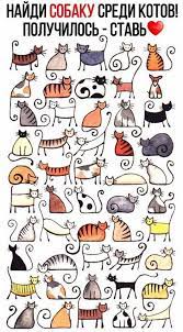 sign in risunki koshachij uzor risunok