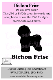 Download Pin On Bichon