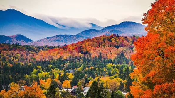 Why People Are Loving Fall This Year | Shari's Berries