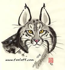 Bobcat By Foxfeather Zenkova Big Cats Art Bobcat Pictures Animals Images