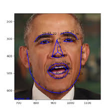 shanemcandrewai (Shane McAndrew) · GitHub