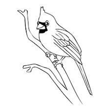 You can easily print or download them at your convenience. Top 20 Free Printable Bird Coloring Pages Online