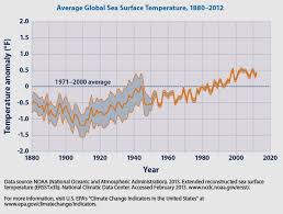 global sea surface temperature sea surface temperature