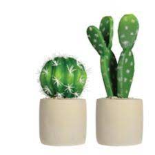 Is this review written as part of a canadian tire. Canvas Artificial Potted Cactus Plant Assorted Canadian Tire