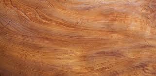 Maybe you would like to learn more about one of these? Tree Trunk Coffee Table Nakashima Style Schlicht Designmobel