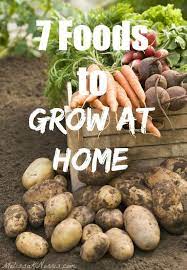 Podcast 52 7 Foods To Never Purchase From The Store Melissa K Norris Grow Your Own Food Food Garden Growing Food