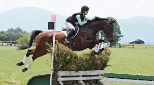 The teen was rushed to hospital but sadly couldn't be saved. Two Riders One Horse Die In Eventing Accidents Horsetalk Co Nz