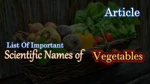Imp Scientific Names Of Vegetables With Pictures English Hindi Names Name Of Vegetables Vegetables Winter Melon