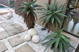 Kromkloof nursery is a boutique nursery, located in the limpopo province of south africa, between the towns of modimolle (nylstroom), mookgophong (naboomspruit) and vaalwater. Creating A Succulent Rock Garden Eco Balance Landscaping Ballito Garden Services Irrigation Paving