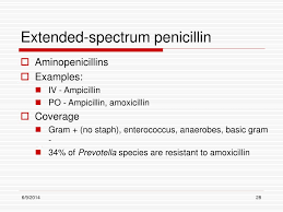 Image result for Extended Spectrum Penicillin