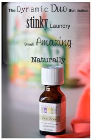 However, this trick requires the right timing unless you want your laundry to smell pickled, that is! Do It Yourself Divas Diy How To Make Dirty Stinky Laundry Smell Amazing Naturally