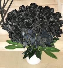 Sep 03, 2020 · black color flowers gardening plants fall gardening fall halloween holidays 'black delight' viola for a true black bloomer, it's tough to beat the 'black delight' viola. 100 Black Roses By Seasons Flowers Of South Beach
