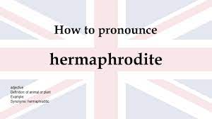 How to say hermaphrodite in proper american english. How To Pronounce Hermaphrodite Meaning Youtube