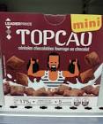 Topcao