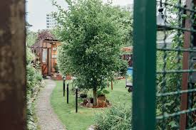 Gartenhaus mieten berlin ab 322 €, berlin altglienicke: 11 Dinge Die Du Beachten Musst Wenn Du Einen Schrebergarten Haben Willst Mit Vergnugen Berlin