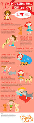 If the dog can't contain its excitement when you get home from work or school, that's a good sign of while you should avoid staring back at unfamiliar dogs who look at you, it's a good thing to return the affectionate gaze of dog who knows and loves you. 10 Interesting Ways Your Dog Says I Love You Herepup