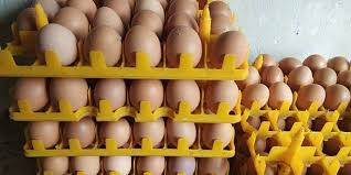 Telur ayam kampung dipercaya masyarakat umum sebagai penambah stamina dan meningkatkan. Simak Ini Perbedaan Telur Ayam Infertil Dengan Ayam Ras Kompas Com Line Today