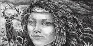 Institute for Northern studies