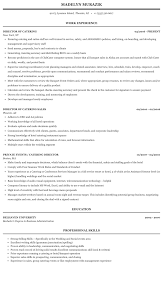 Catering Director Resume Sample Mintresume