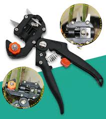 Oak apple tree sapling is gathered by breaking oak leaves by player. Replaceable Blade Professional 2 In 1 Vegetables Fruit Tree Grafting Pruning Shears Grafting Scissors Grafting Trees Tools Buy Pruning Shears Grafting Tools Grafting Shears Product On Alibaba Com